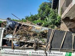 Best Furniture Removal  in Ladson, SC