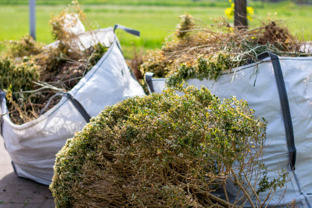 Best Property Management Cleanouts  in Ladson, SC